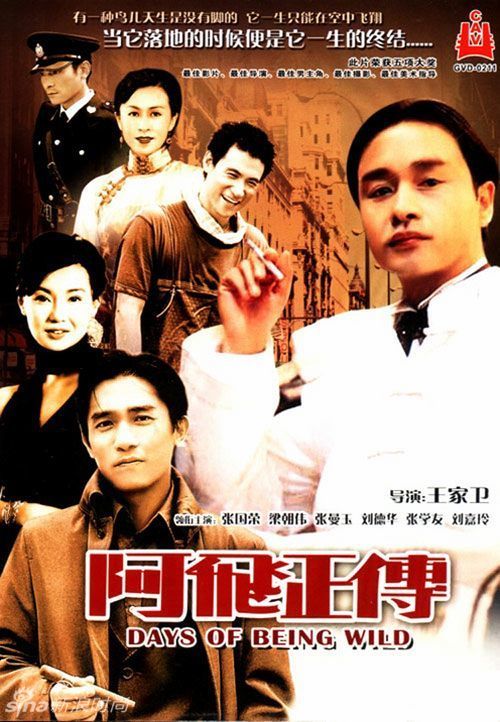 TelmaInternetUniversity市场开发文凭证书